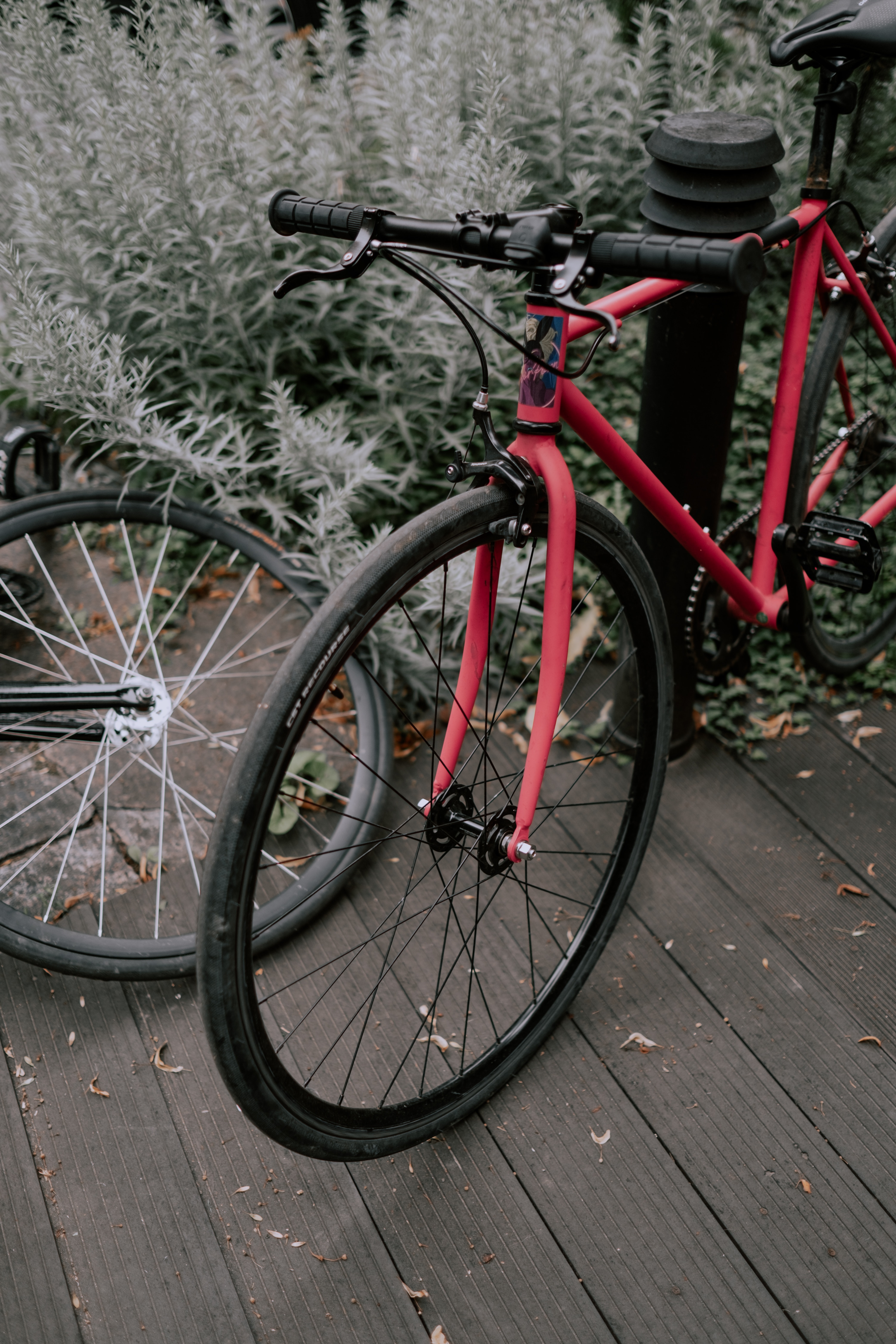 bike image 2