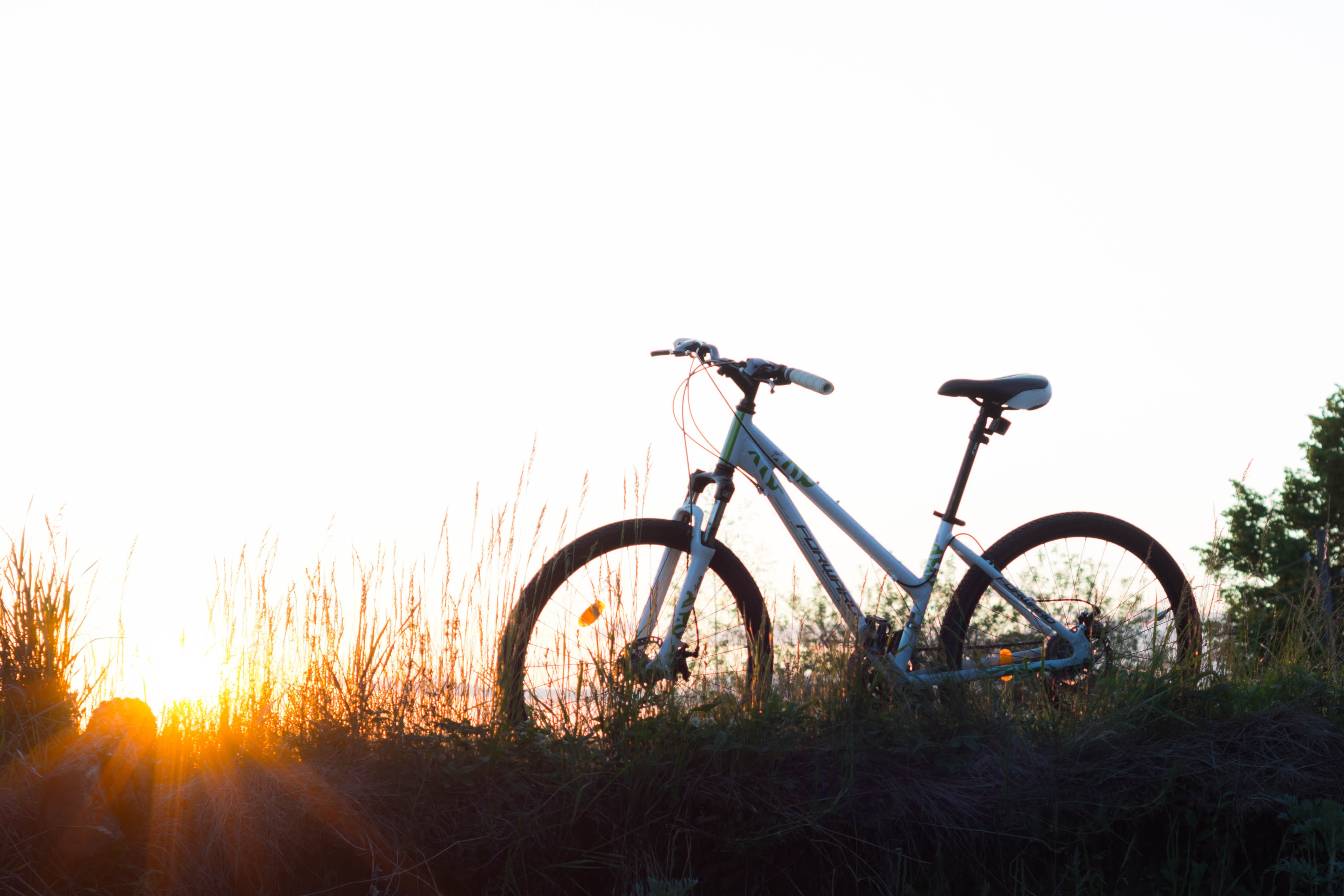 luxury bikes